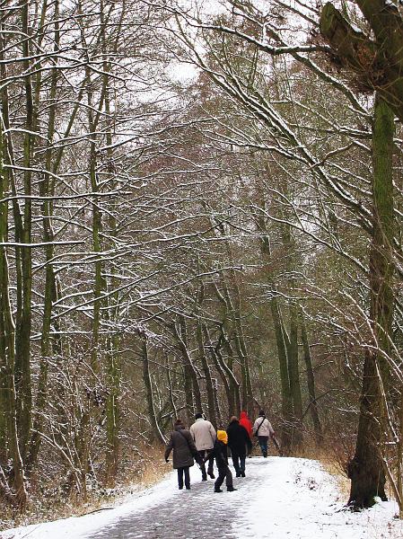 Wandeling De Paalse Plas 24-2-2013 (26).JPG